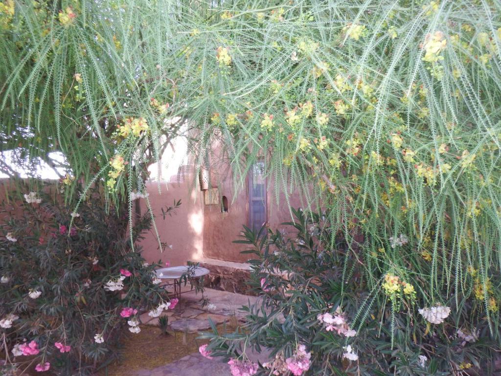 Dar Paru Bed & Breakfast M'Hamid Room photo